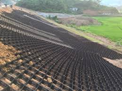 ô địa kỹ thuật