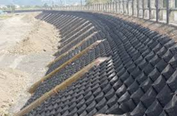 ô địa kỹ thuật