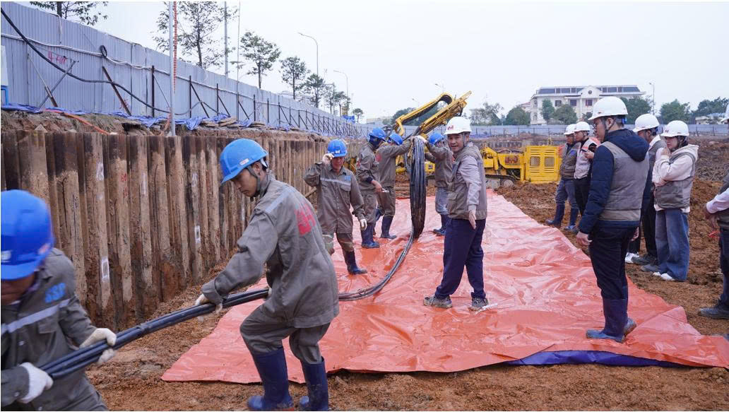 SSC Việt Nam Thí nghiệm neo