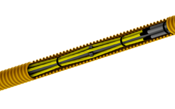 Hình ảnh neo vĩnh cửu Neo vĩnh cửu