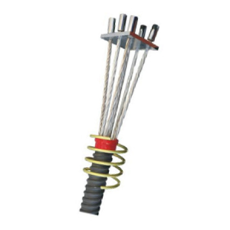 NEO CHẾT DẠNG ÉP CHẾT NEO CHẾT DẠNG ÉP CHẾT